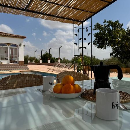 セビリア Casa Con Piscina Privadaヴィラ エクステリア 写真
